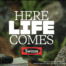 Swisse Vitamins using Cilla Black via Music Mill